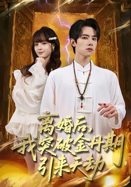 离婚后，我突破金丹期，引来天劫海报
