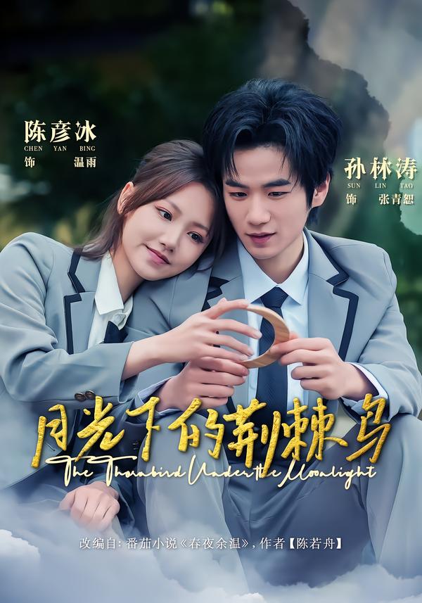 月光下的荆棘鸟海报