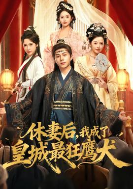 休妻后，我成了皇城最狂鹰犬海报
