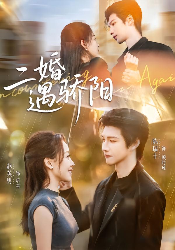 二婚遇骄阳海报