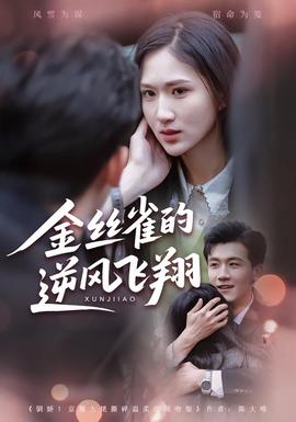 金丝雀的逆风飞翔海报