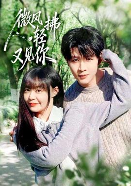 微风轻拂又见你海报