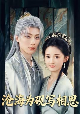 沧海为砚写相思海报