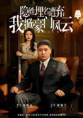 隐姓埋名遭弃，我掀豪门风云海报