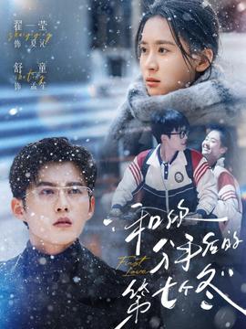 和你分手后的第七个冬海报