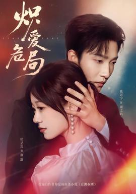 炽爱危局海报