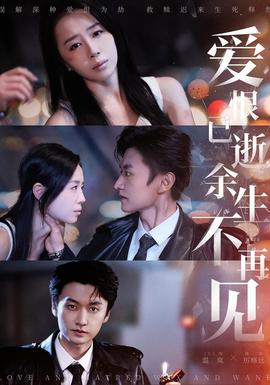 爱恨已逝，余生不再见海报