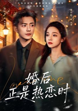 婚后正是热恋时海报