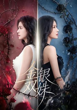 金银双姝海报