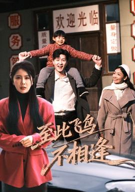 到此飞鸟不相逢海报