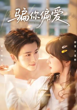 骗你偏爱海报