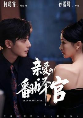 亲爱的翻译官海报