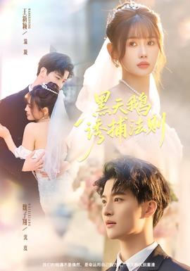 黑天鹅诱捕法册海报