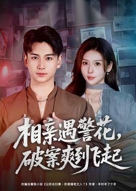 相亲遇警花，破案爽到飞起海报
