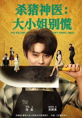 杀猪神医，大小姐别慌海报