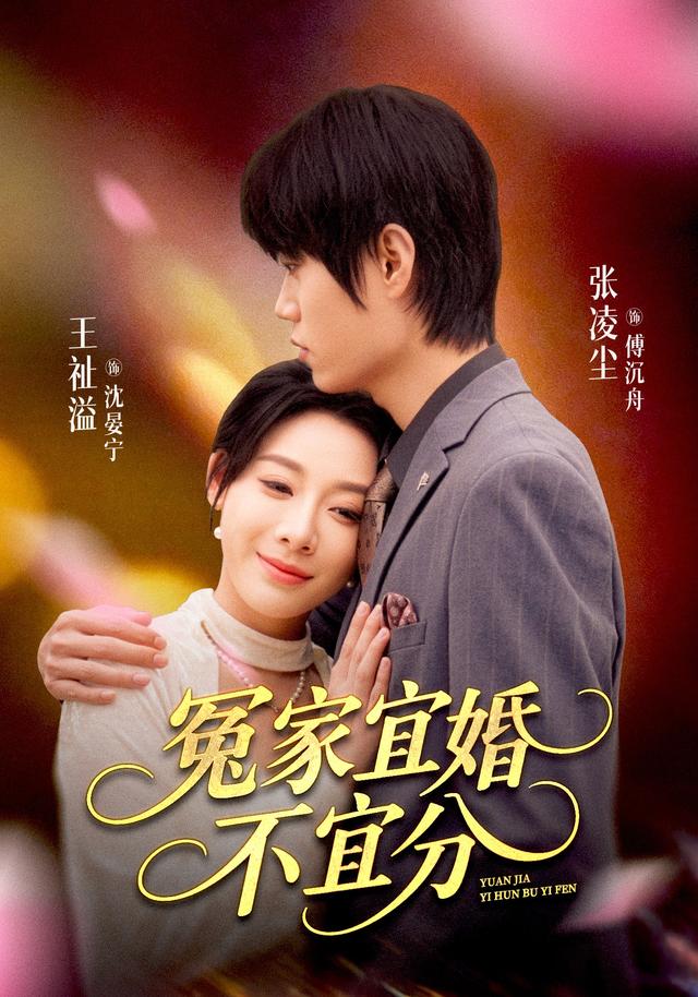 冤家宜婚不宜分海报