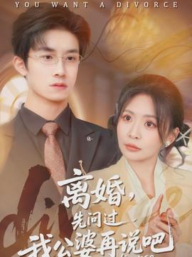离婚，先问过我公婆再说吧海报
