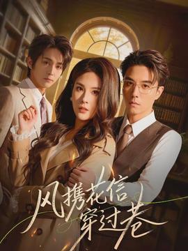 风携花信穿过巷海报