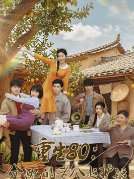 重生80：分配的老公超护短海报