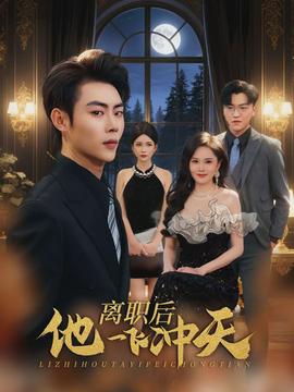 离职后他一飞冲天海报