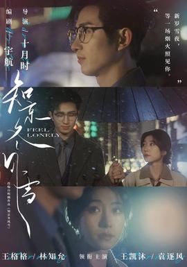 知京冬风雪海报