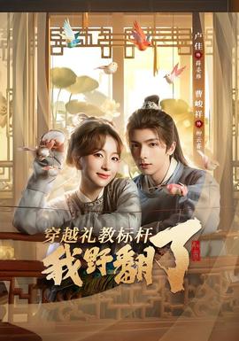 穿越礼教标杆我野翻了海报