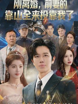 离婚，前妻的靠山全来投靠我了海报