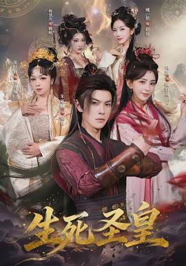 生死圣皇海报