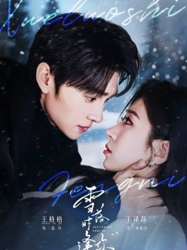 雪落时逢你海报